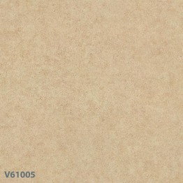 Gạch lát sàn Trường Thịnh MATT STONE V61005